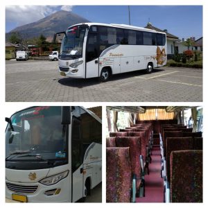 pasa-sewa-bus-yogyakarta-jogja-seat-35